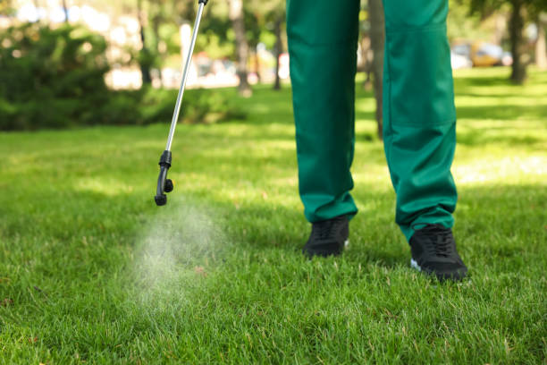 Reliable Rochester Institute Of Technology, NY Pest Control Solutions
